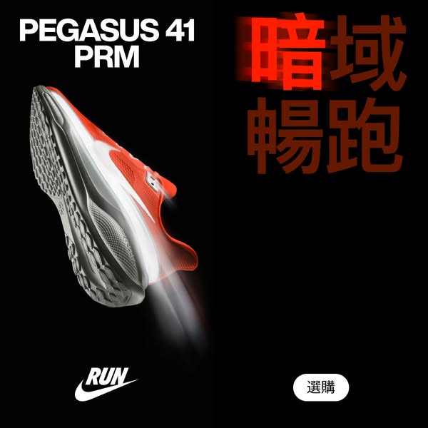 Nike Pegasus 41